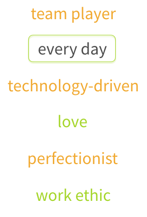 List of phrases with colors, three are orange: team player, technology-driven, perfectionist two are green: love and work ethic, one is gray with a green outline: every day
