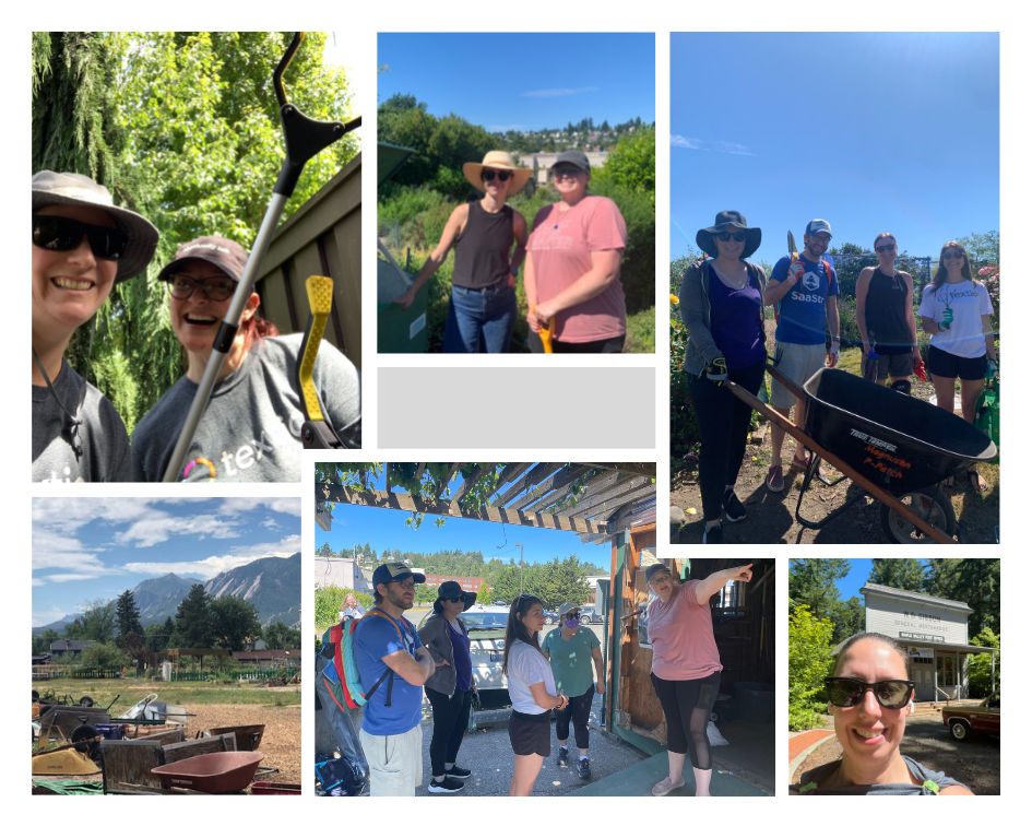 Textio team volunteering at local garden in Seattle, gardening, and picking up trash