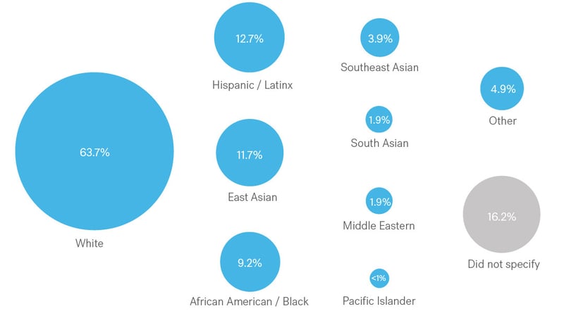 Race/ethnicity (% of employees choosing the identity, may choose up to 3)